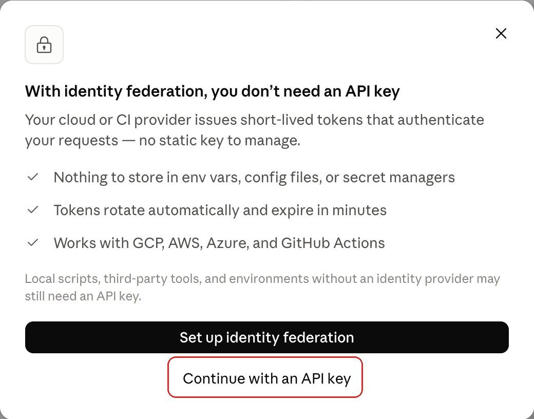 Identity federation pop-up with Continue with an API key outlined below the Set up identity federation button