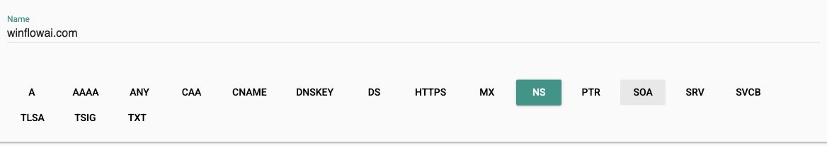 Google Admin Toolbox Dig with winflowai.com entered and NS selected